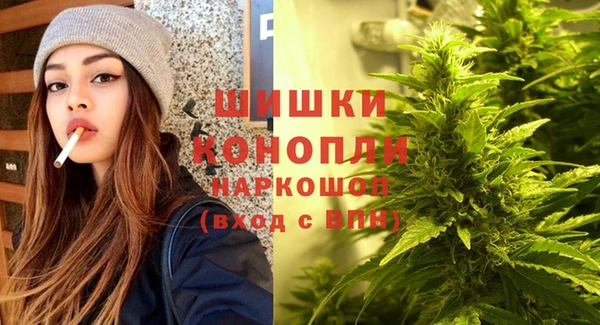 стафф Нефтегорск