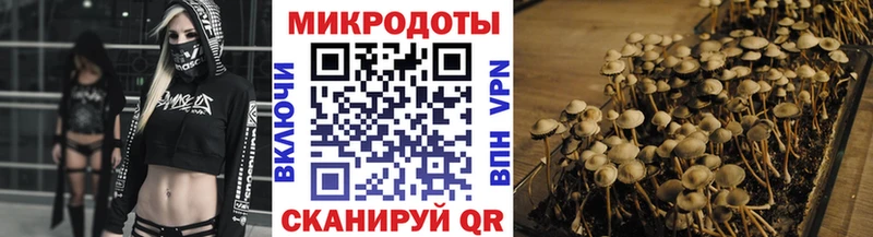 Галлюциногенные грибы GOLDEN TEACHER  Купить где  Дегтярск 